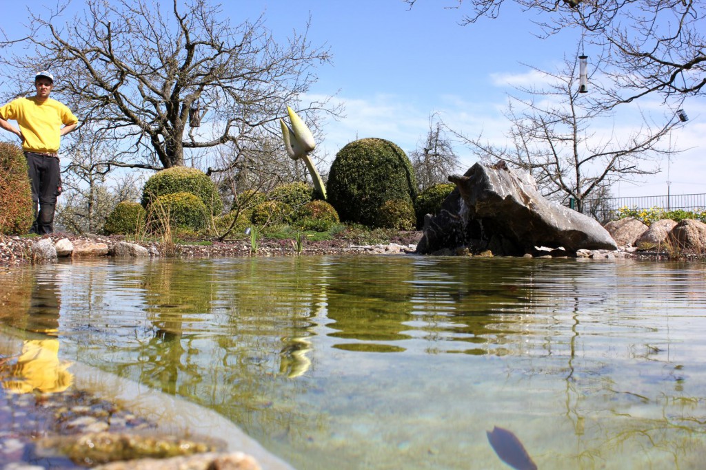 garten-teichbau_003